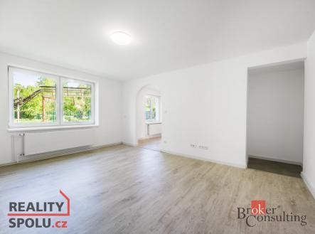 Pronájem bytu, 1+1, 45 m²