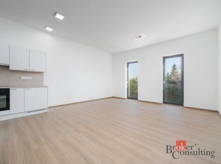 Pronájem bytu, 1+kk, 50 m²