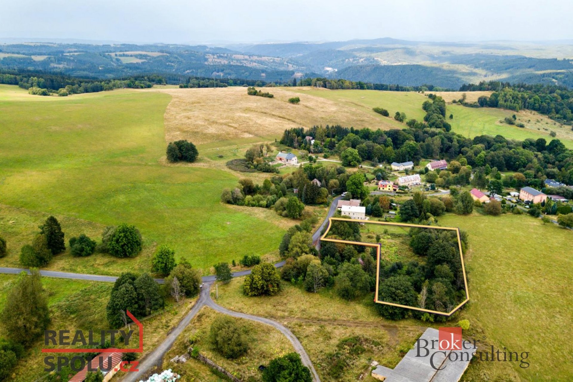 Prodej, pozemky/ostatní, 3562 m2, Louka , Nová Ves, Sokolov [ID 83113]