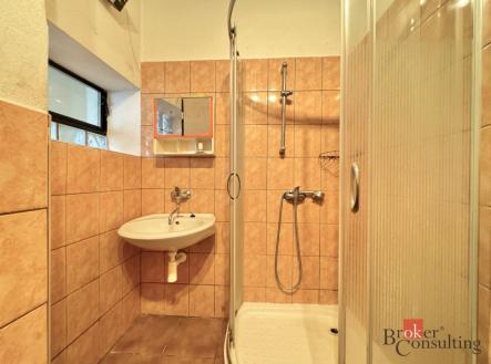 Prodej - dům/vila, 300 m²