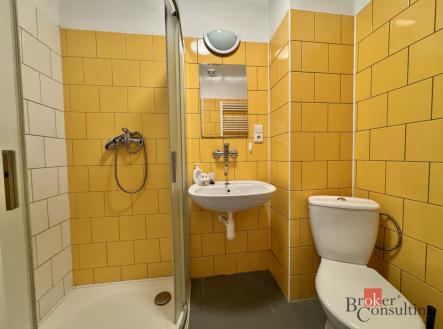 Prodej - dům/vila, 260 m²