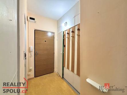 Pronájem bytu, 1+1, 43 m²