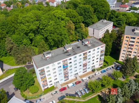 Pronájem bytu, 1+1, 43 m²