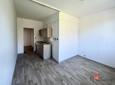 Pronájem bytu, 1+1, 43 m²