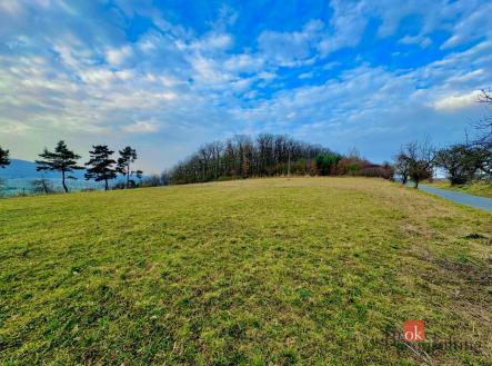 Prodej - pozemek pro bydlení, 3 143 m²