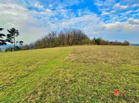 Prodej - pozemek pro bydlení, 3 143 m²