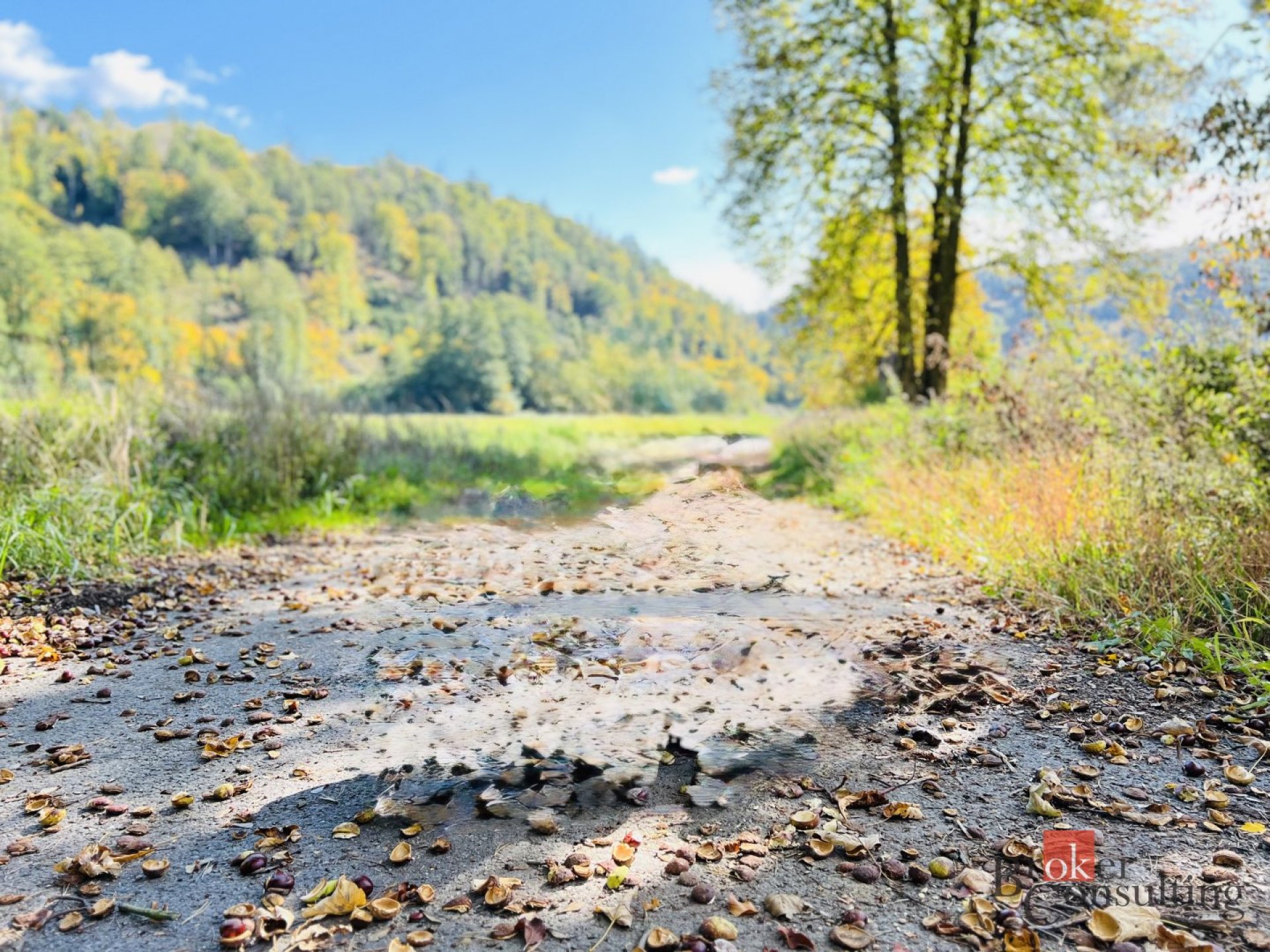 Prodej, pozemky/bydlení, 924 m2, Račice 68, 68305 Račice-Pístovice, Vyškov [ID 83487]