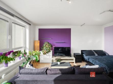 Prodej bytu, 1+kk, 42 m²