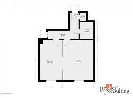 Pronájem bytu, 1+1, 46 m²