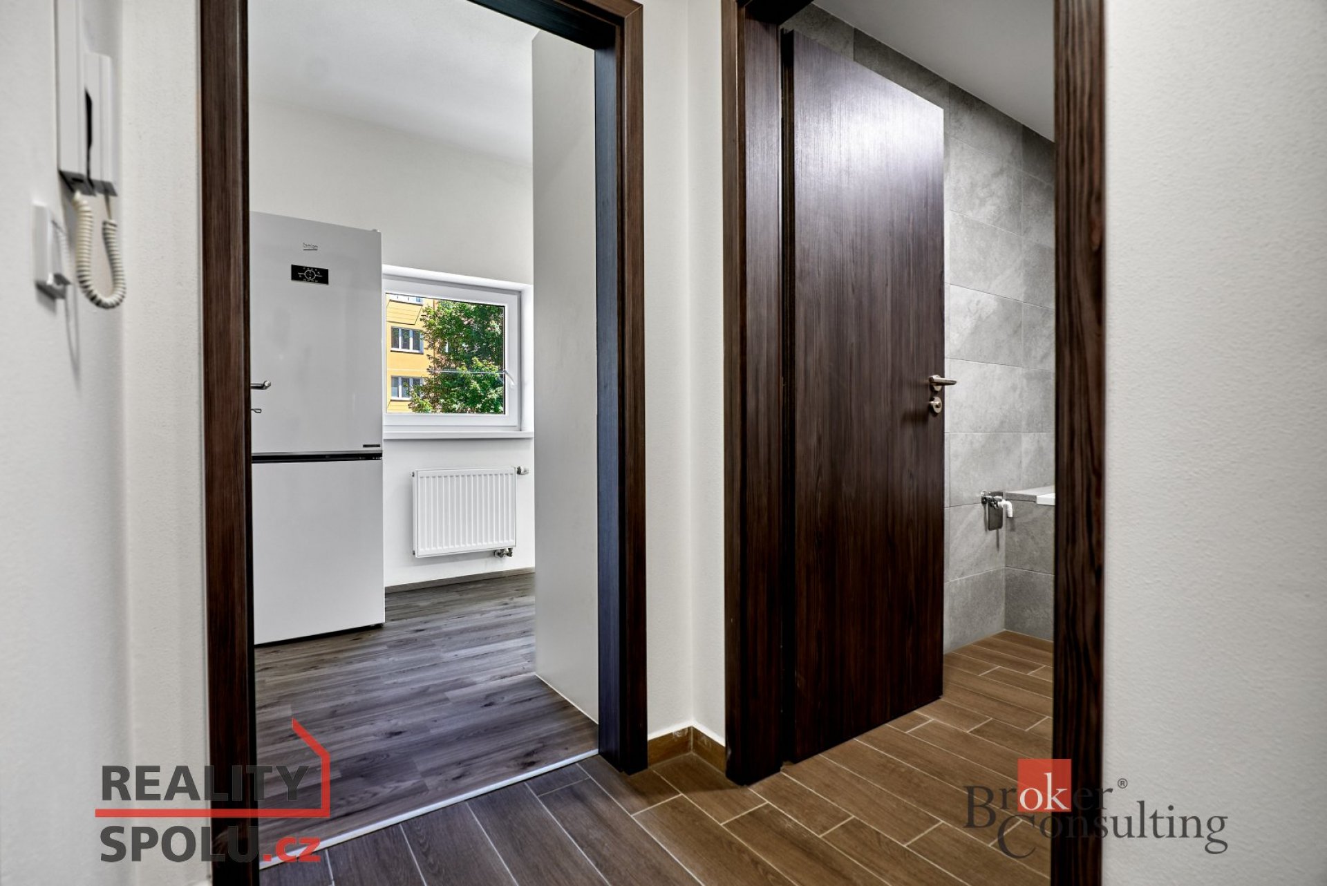 Pronájem v Nové Roli