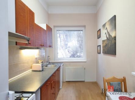 Pronájem bytu, 1+1, 52 m²