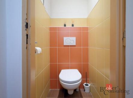 Pronájem bytu, 1+1, 52 m²