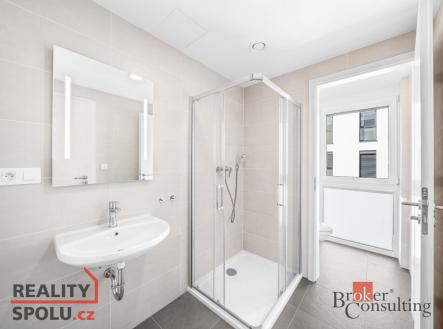 Pronájem bytu, 3+kk, 72 m²