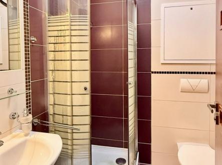 Pronájem bytu, 1+1, 45 m²