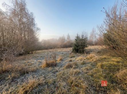 Prodej - pozemek pro bydlení, 3 363 m²