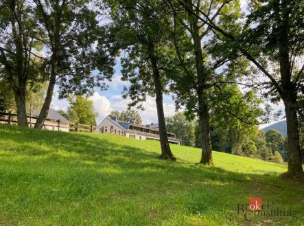 Prodej - pozemek, trvalý travní porost, 282 m²