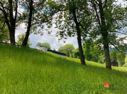 Prodej - pozemek, trvalý travní porost, 282 m²