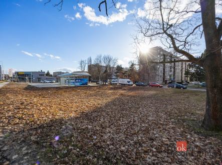 Pronájem - pozemek pro komerční výstavbu, 542 m²