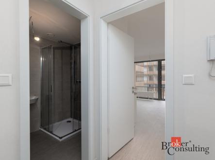 Pronájem bytu, 1+kk, 27 m²