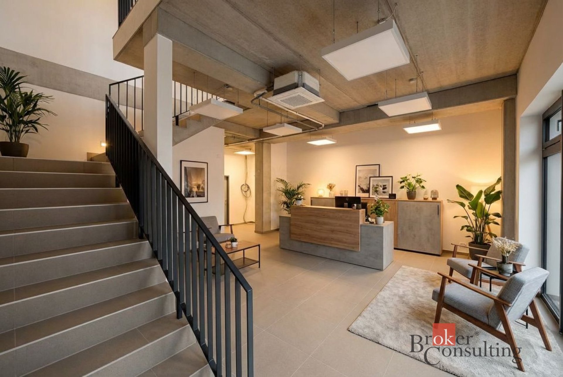 Pronájem, komerční/výroba, 444 m2, Vinohradská, Brno, Brno-město [ID 84499]