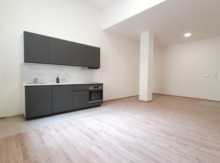 Pronájem bytu, 1+kk, 47 m²