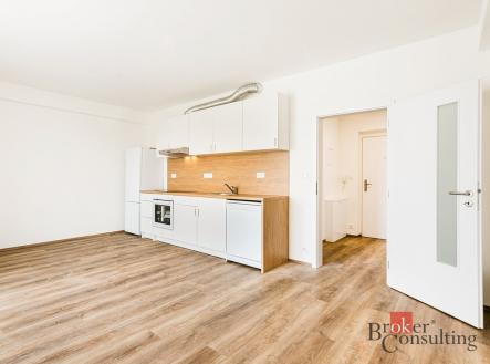 Pronájem bytu, 1+kk, 32,33 m²