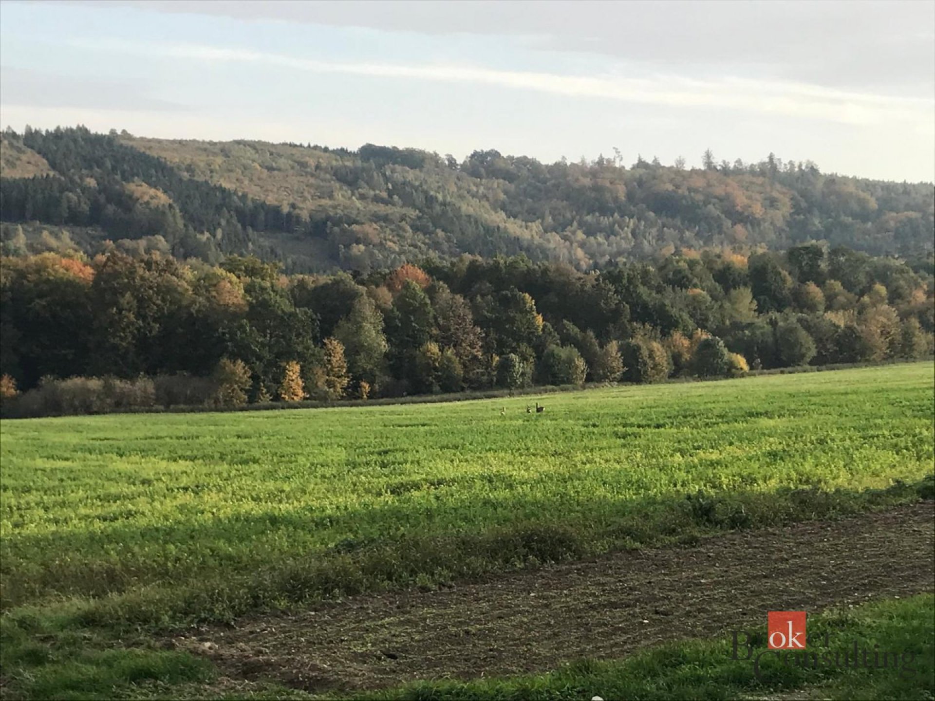 Prodej, pozemky/bydlení, 885 m2, Čavisov, Ostrava-město [ID 84837]