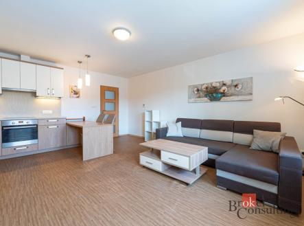 Pronájem bytu, 2+kk, 58,8 m²