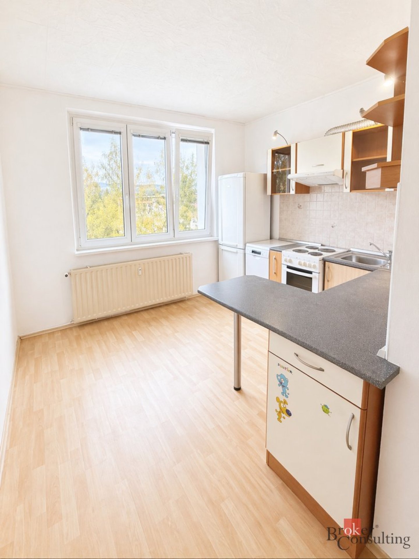 Pronájem, byty/1+1, 36 m2, Poláčkova, Sokolov, Sokolov [ID 84957]