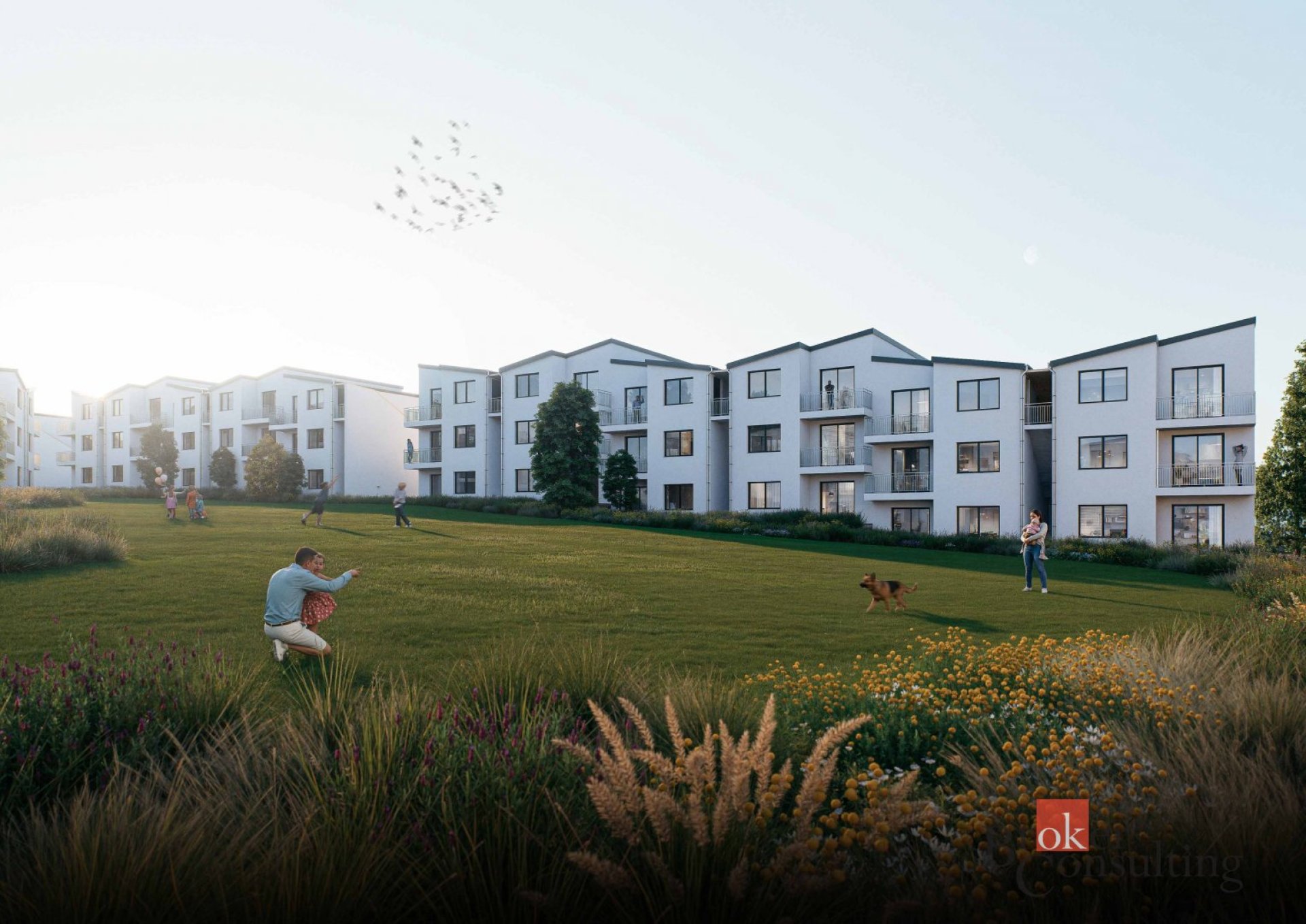 Prodej, pozemky/bydlení, 55504 m2, Tachov, Tachov [ID 81648]