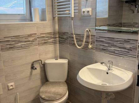 Pronájem bytu, 1+1, 30 m²
