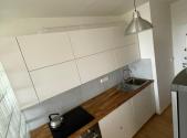 Pronájem bytu, 1+1, 56 m²
