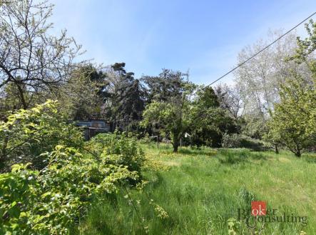 Prodej - pozemek, ostatní, 1 090 m²