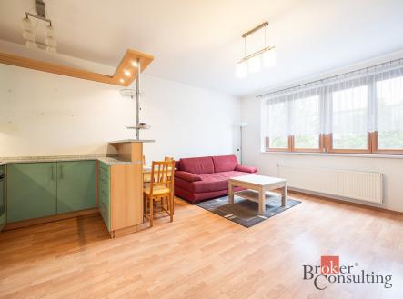 Pronájem bytu, 1+kk, 31 m²