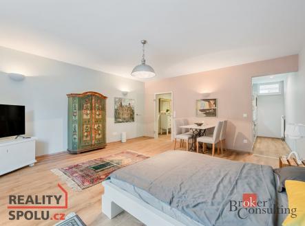 Pronájem bytu, 1+kk, 54 m²