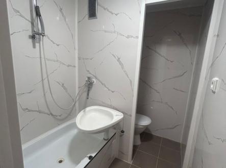 Pronájem bytu, 1+1, 36 m²