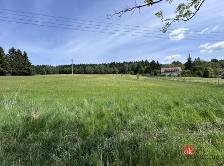 Prodej - pozemek, trvalý travní porost, 8 717 m²