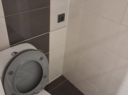 Pronájem bytu, 2+1, 46 m²