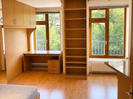 Pronájem bytu, 1+kk, 28 m²