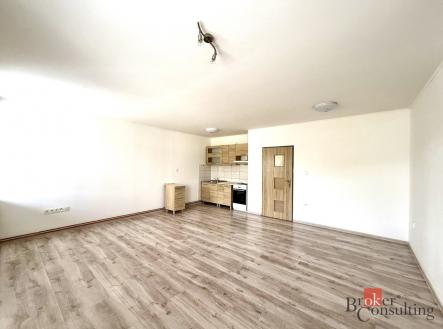 Pronájem bytu, 1+kk, 45 m²