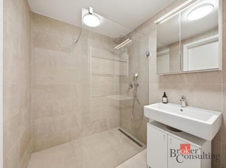 Pronájem bytu, 2+kk, 46,3 m²