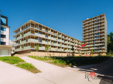 Pronájem bytu, 2+kk, 69 m²
