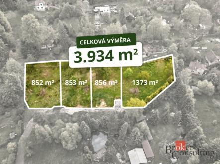Prodej - pozemek pro bydlení, 3 934 m²