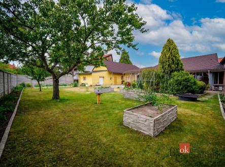 Prodej - dům/vila, 127,7 m²