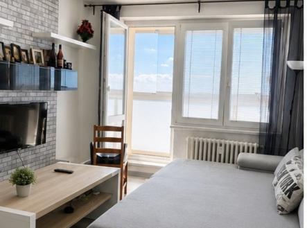 Prodej bytu, 1+kk, 28 m²