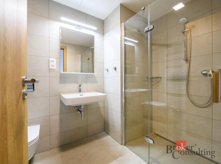 Pronájem bytu, 2+kk, 56,1 m²