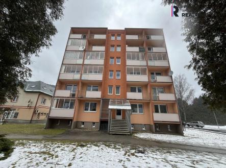 Prodej bytu, 3+1, 56 m² obrázek