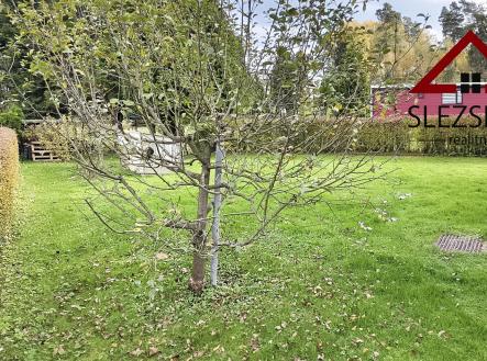 IMG_20251022_130657 | Prodej - chata/rekreační objekt, 121 m²