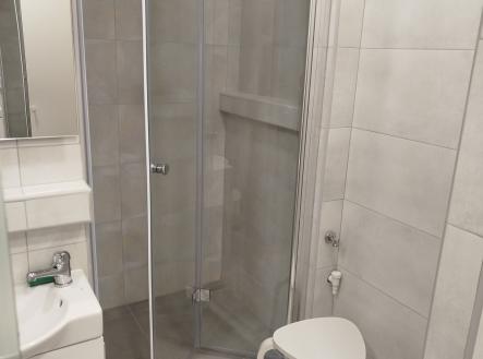 1000020778 | Pronájem bytu, 1+kk, 30 m²