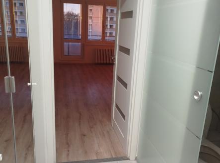 1000020776 | Pronájem bytu, 1+kk, 30 m²